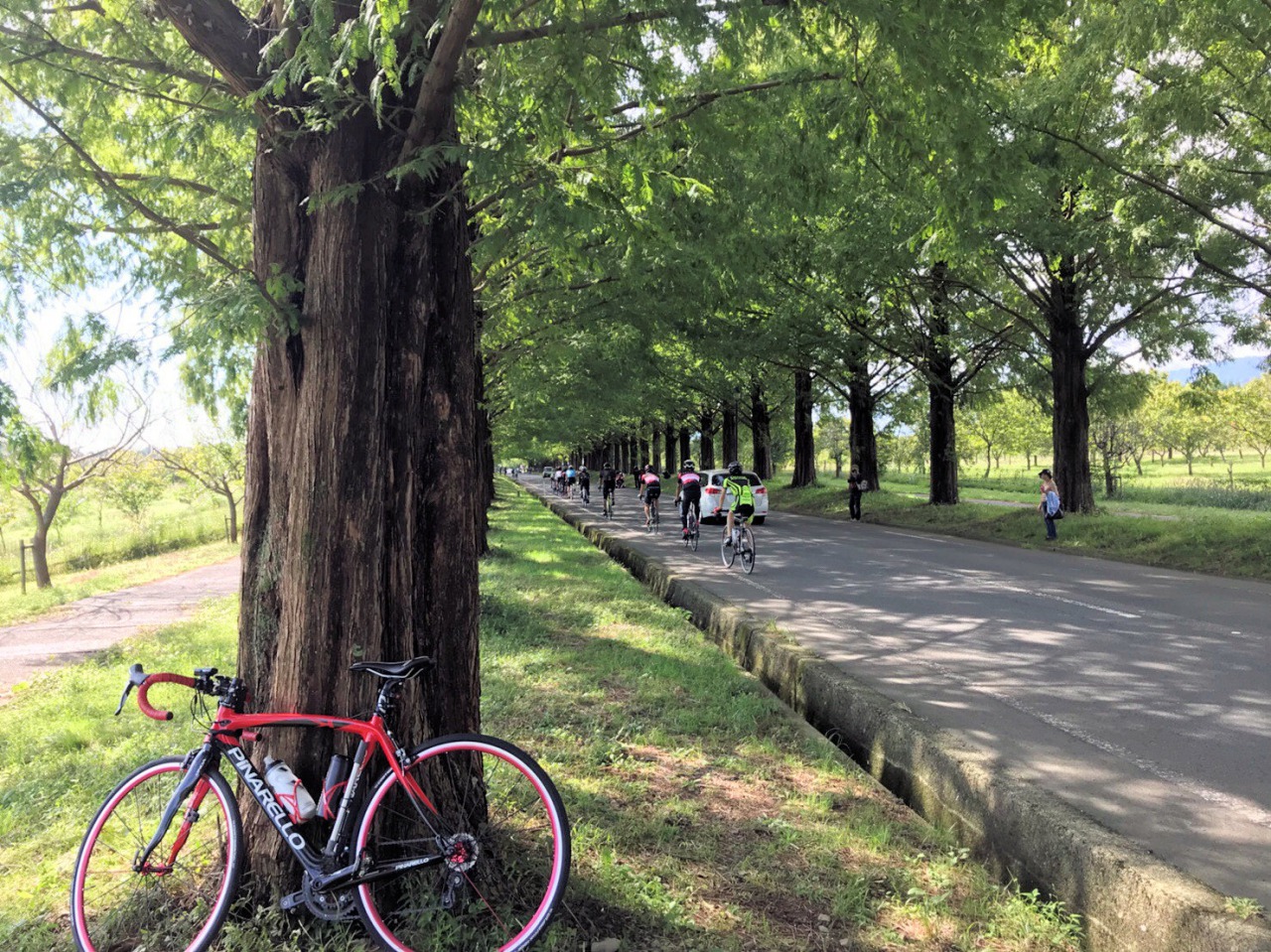 琵琶湖 一周 自転車