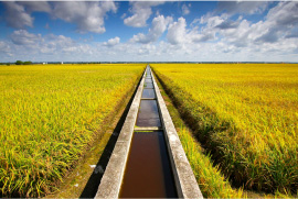 農業・漁業（土壌センサー・水温・pH）